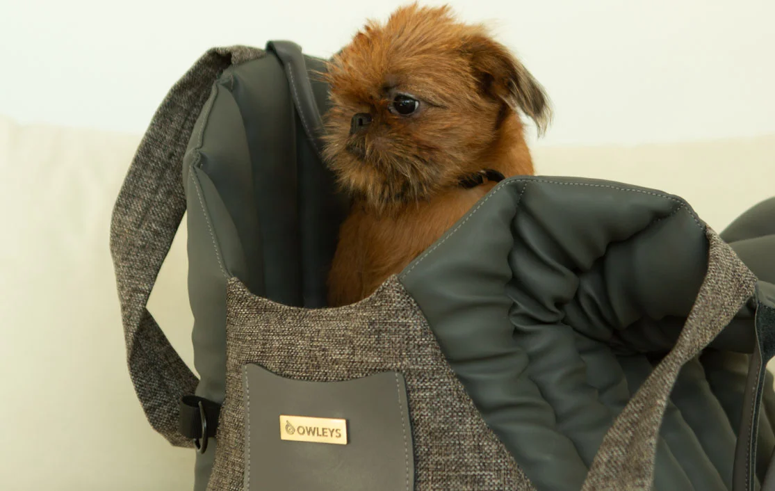 Shih Tzu Dog Carrier Car Seat for Nissan Pathfinder