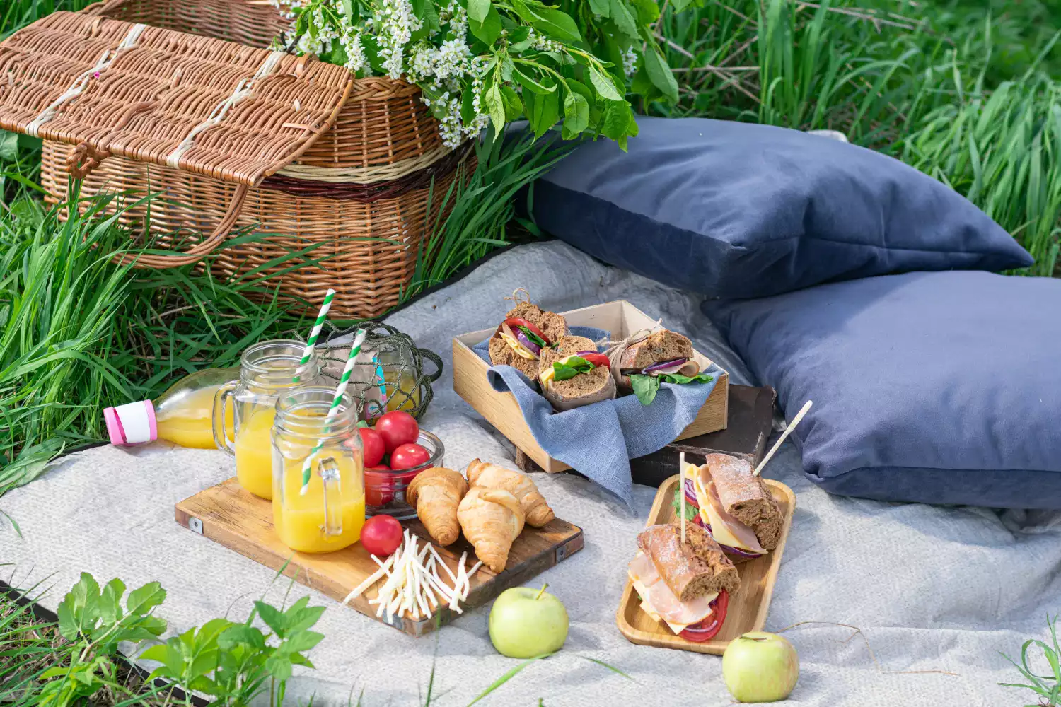 cute picnic blankets