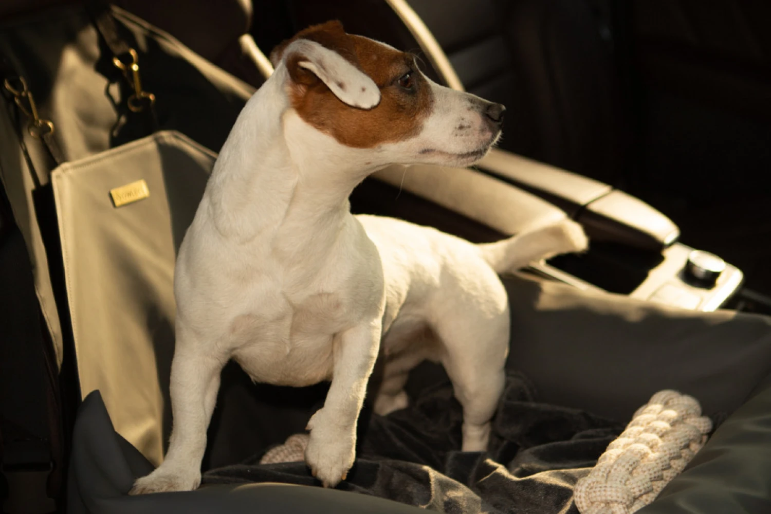 Icelandic Sheepdogs Dog Car Seat for Toyota Tacoma