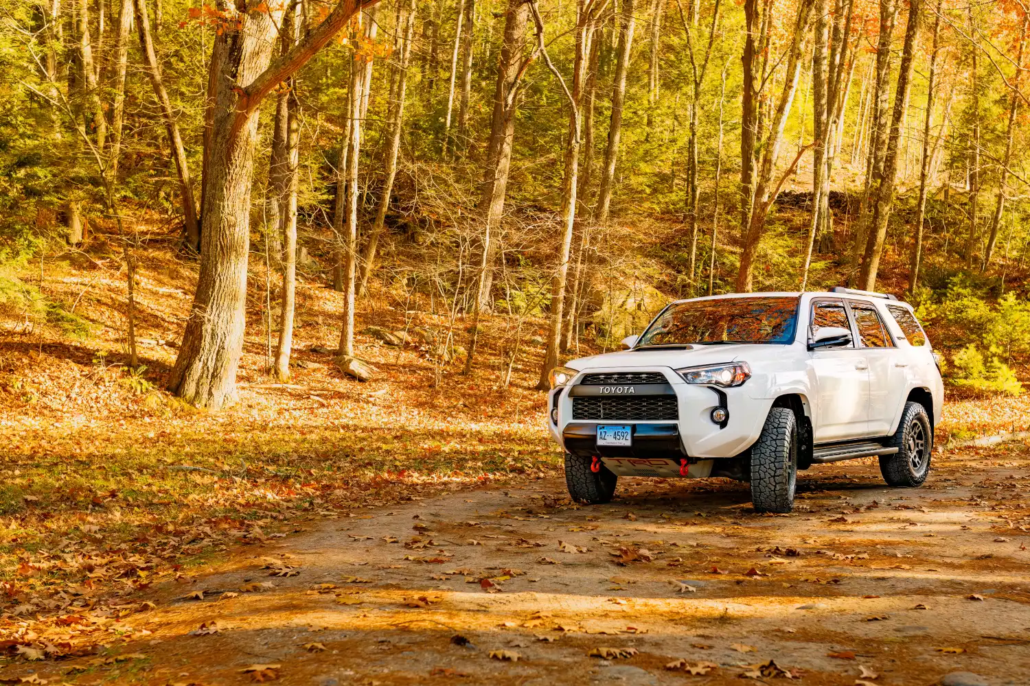 trash bin for Toyota 4Runner