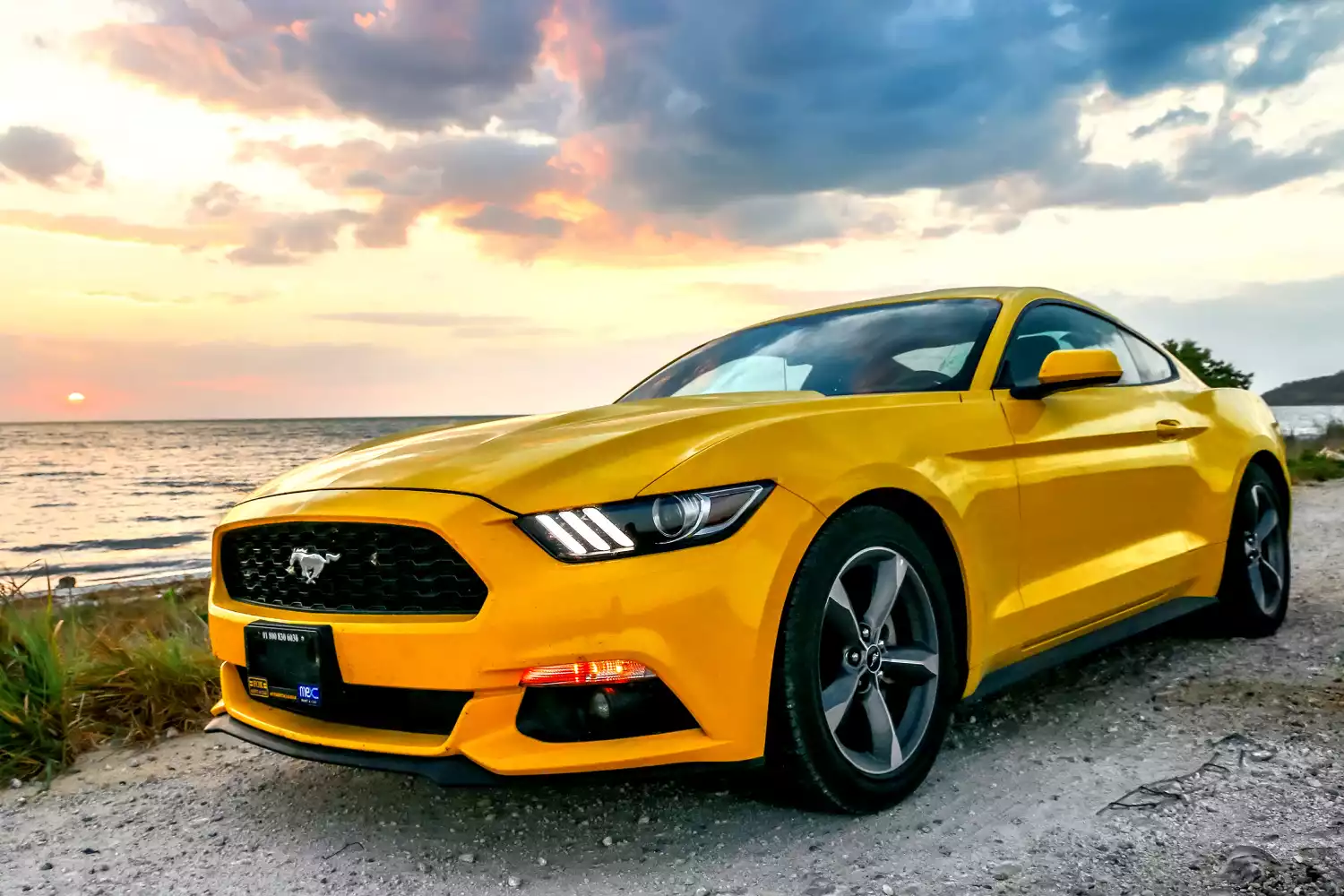 Ford Mustang trunk organizer