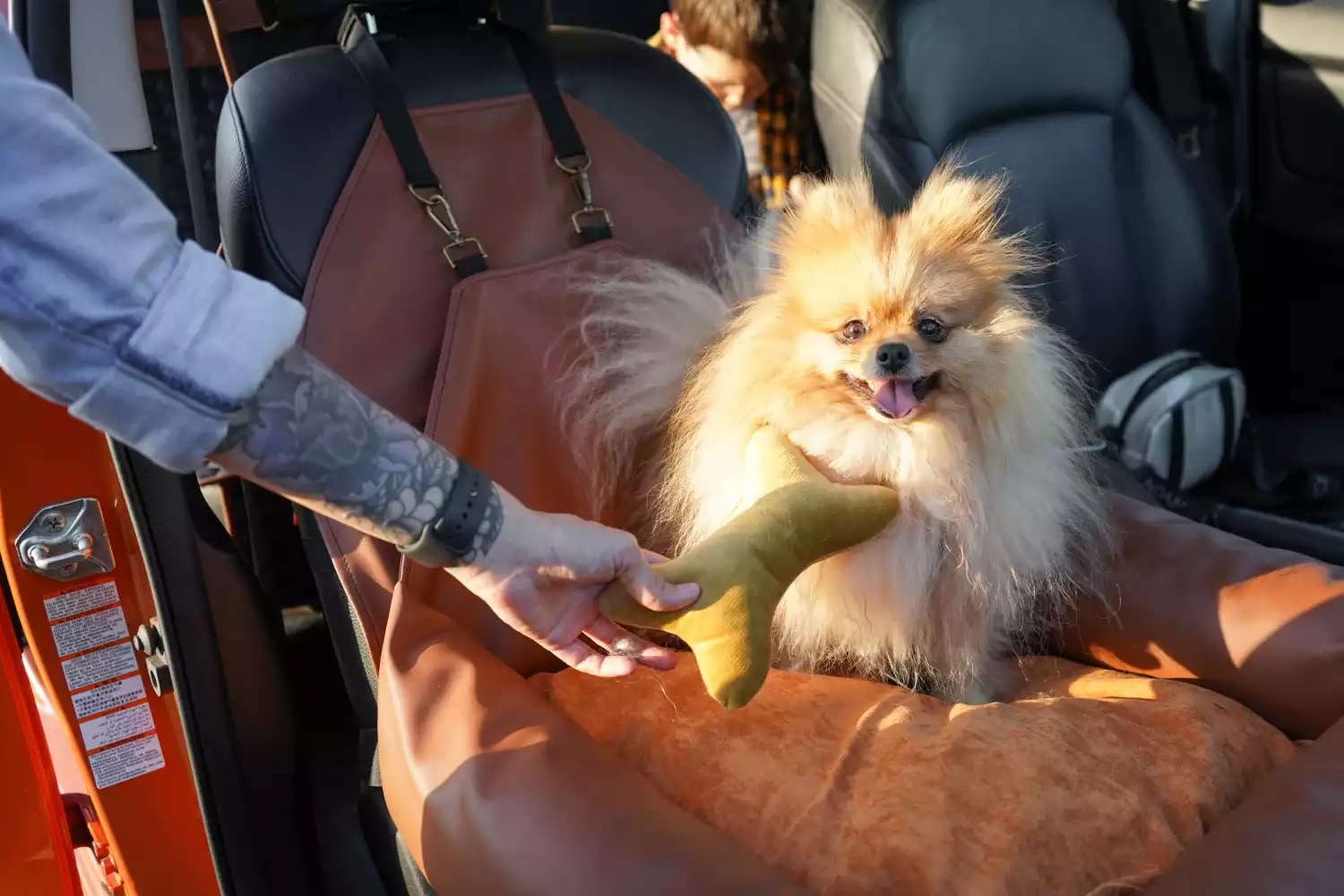 Pomeranians Dog Car Seat for Mazda CX-5